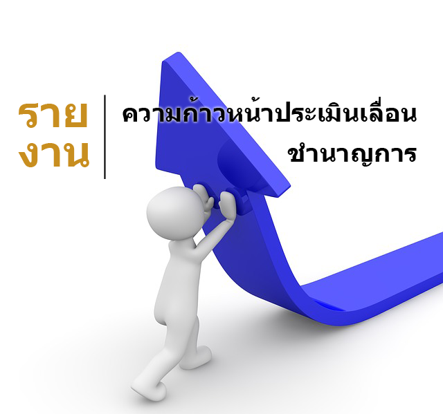 รายงานความก้าวหน้า